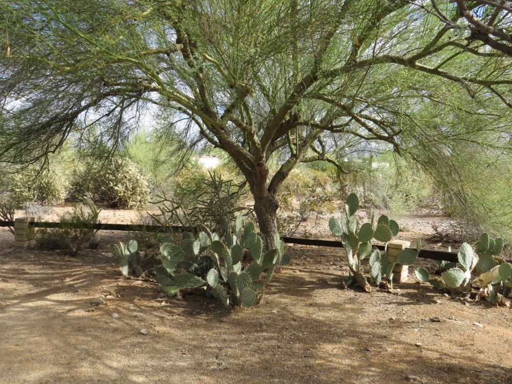 Garden1