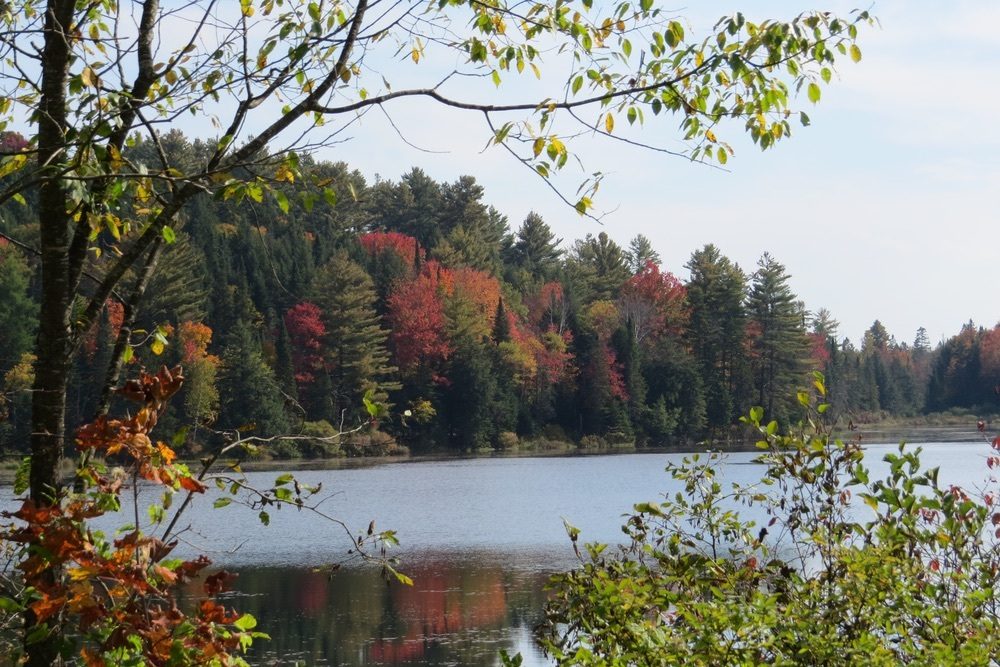 Vermont Pond