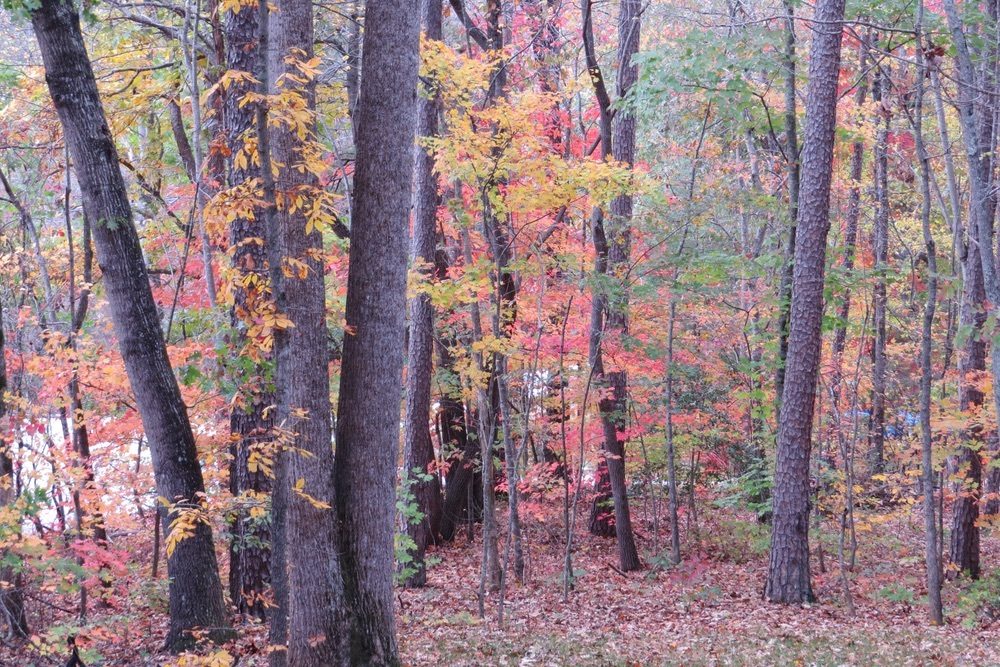 Leaves to GA-5