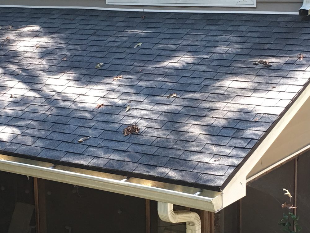Eclipse Shadows